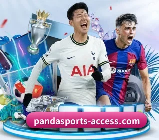 我们在做什么 - Panda Sports