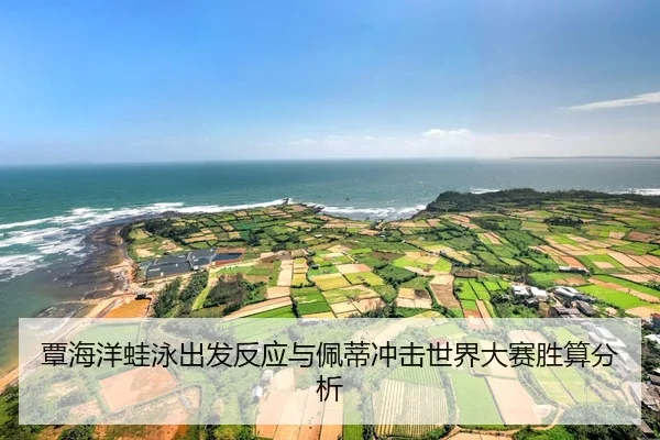 tan-hai-yang-wa-yong-chu-fa-fan-ying-yu-pei-di-chong-ji-shi-jie-da-sai-sheng-suan-fen-xi-2-612.jpg