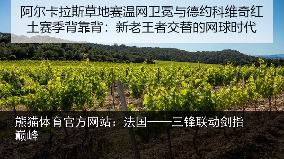 熊猫体育官方网站:法国——三锋联动剑指巅峰