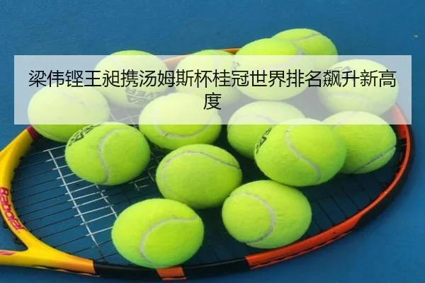 liang-wei-keng-wang-chang-xie-tang-mu-si-bei-gui-guan-shi-jie-pai-ming-biao-sheng-xin-gao-du-3-129.jpg