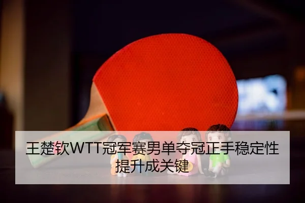 wang-chu-qin-guan-jun-sai-nan-dan-duo-guan-zheng-shou-wen-ding-xing-ti-sheng-cheng-guan-jian-2-749.jpg