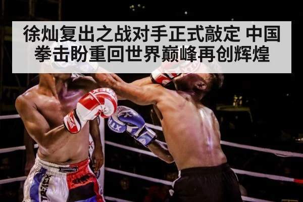 boxer training gloves